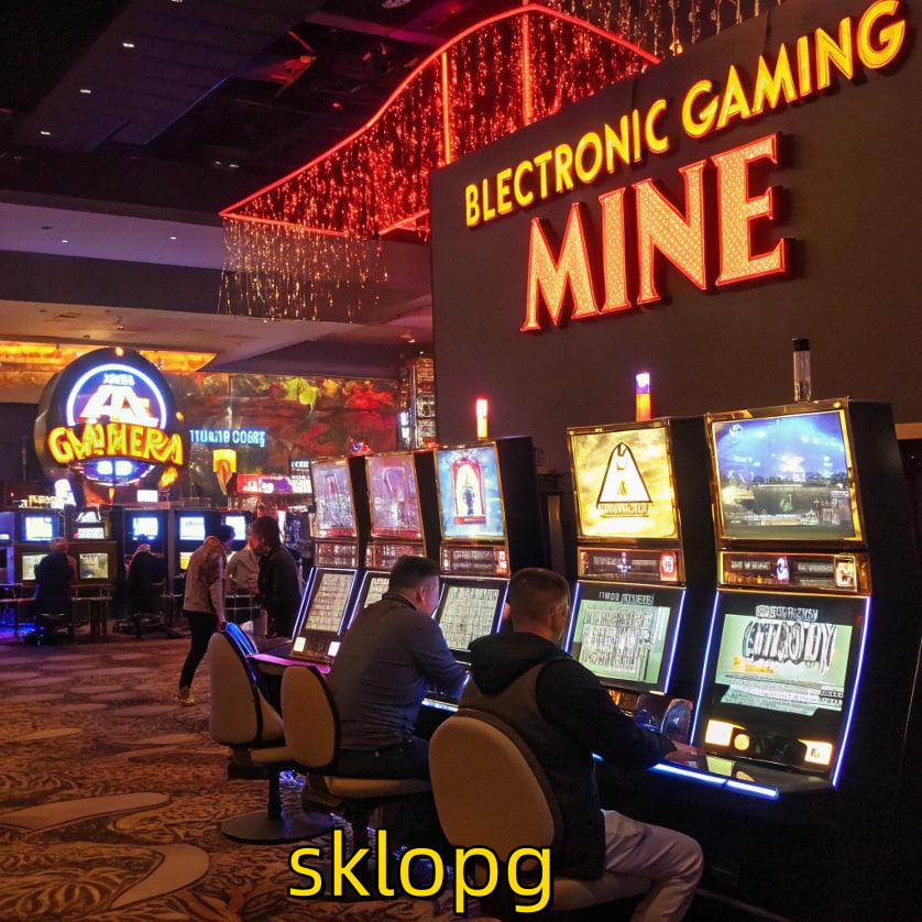 skolpgbet